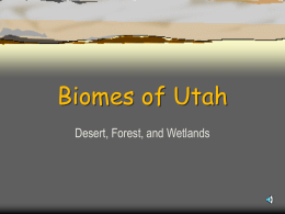 Biomes of Utah