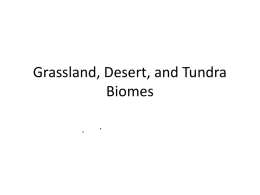 Grassland, Desert, And Tundra Biomes