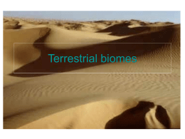 Terrestrial biomes