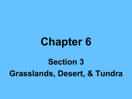 Chapter 6.3 - CMenvironmental
