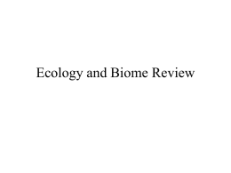 Ecology and Biome Review - Effingham County Schools