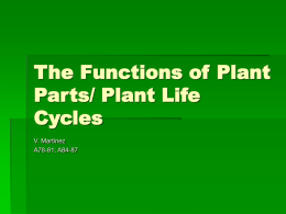 The Functions of Plant Parts/ Plant Life Cycles