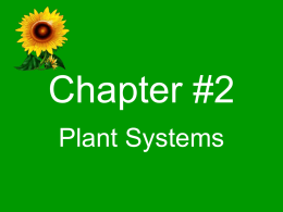 Unit-A-Chapter-2-Plant-Systems