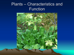 Plants – Characteristics and Function --