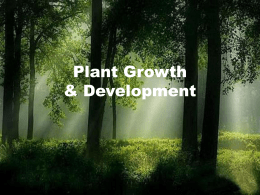 Plant Growth & Development