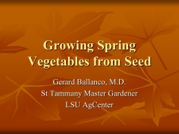 Growing Spring Vegetables from Seed