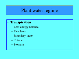 Vodní režim rostlin
