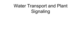 Water Transport and Plant Signaling
