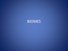 Biomes Notes