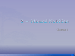 02 Nutrition