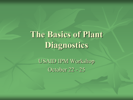 basics-plant-diagnostics-seasia