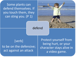 PowerPoint - Plants That Fight Back