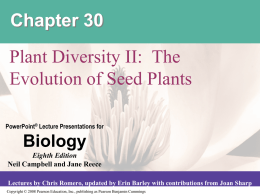 Chapter 30 Plant Diversity II Evolution of Seed Plants