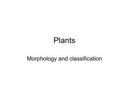 Plants - Faculty