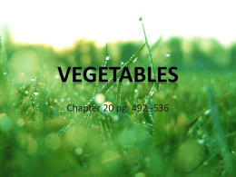 Vegetables - CulinarySkills1