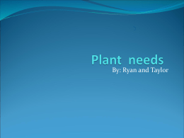 Taylor and Ryan Plants