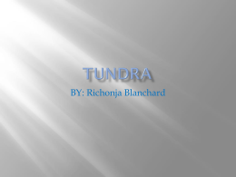 tundra and grasslands by richonja