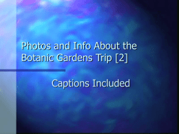 Photos and Info About the Botanic Gardens Trip 2