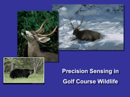 Precision Agriculture in Golf Course Wildlife