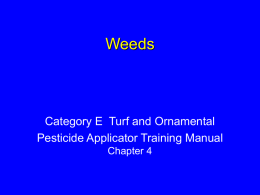 Weeds (manual E, chapter 4)