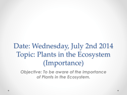 Date: Wednesday, July 2nd 2014 Topic: Plants in the Ecosystem