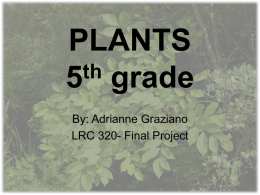 PLANTS 5th grade