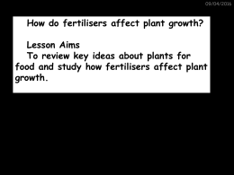 hOw do fertilisers affect growth