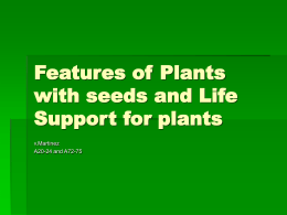 Features of Plants with seeds and Life Support for plants