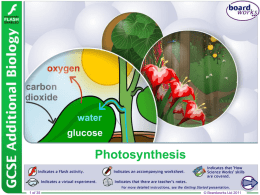 Photosynthesis - Mr Lewis Biology