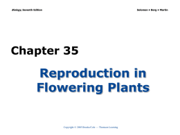 Chapter 35 Reproduction in Flowering Plants