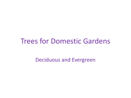 Trees_for_Domestic_Gardens