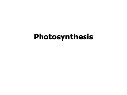 Photosynthesis - De Anza College