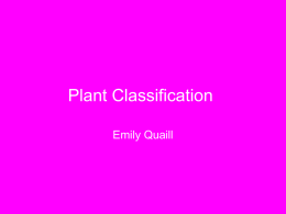 1321457517plant_classification[1]