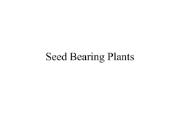 Seed Bearing Plants