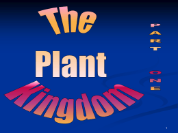 (Posted 12/14) Plant Kingdom Notes