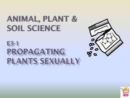 Propagating Plants Sexually - Oconto Falls Agricultural Education