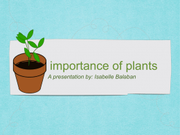 Link to Powerpoint - The Science of Plants