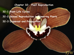 Chapter 32-Plant Reproduction