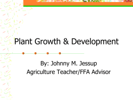 Plant Growth - Havelock Agricultural Education