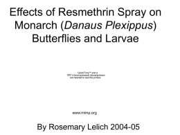Effects of Resmethrin Spray on Monarch Butteflies and Larvae