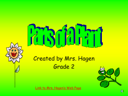 Parts of a Plant - Mrs. Hagen`s Web Page