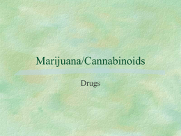 Marijuana/Cannabinoids - freeman files