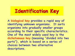 Identification Key