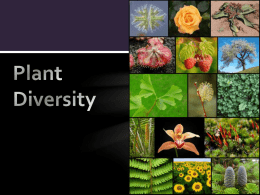 Plant Diversity - GriffinScienceGCM