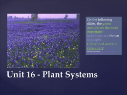 Unit 16 - Plant Systems