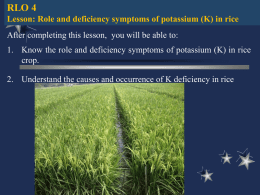 Role and deficiency symptoms of Potassium in Rice