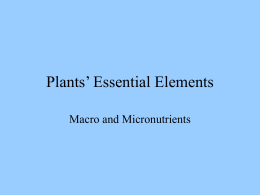 Plant Essential Elements