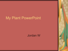 My Plant PowerPoint