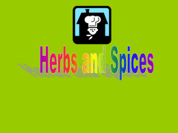 Herbs and Spices PowerPoint