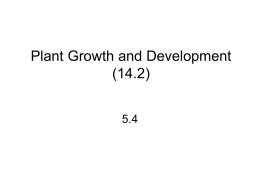 5.4 Plant Growth - Blyth-Biology11